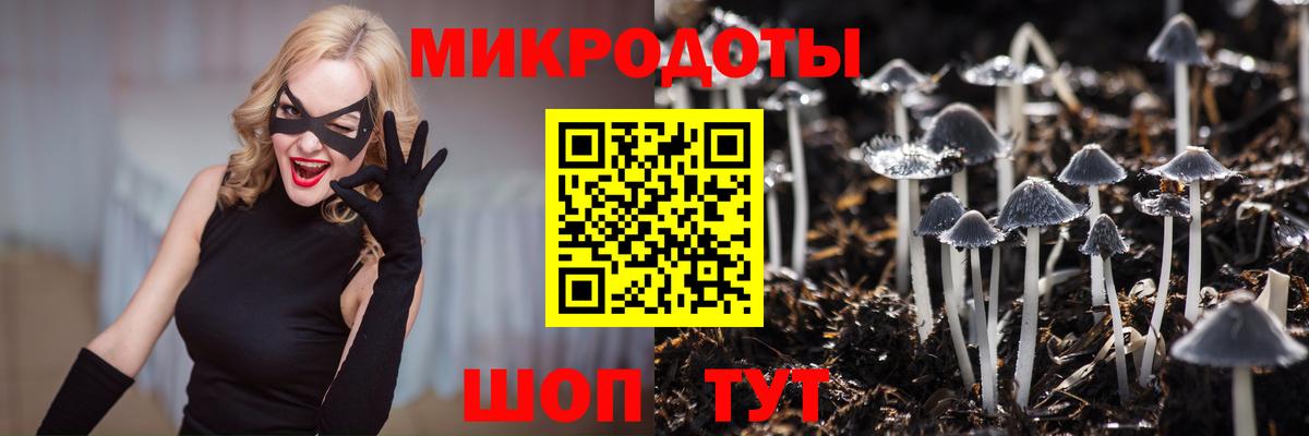 Галлюциногенные грибы MAGIC MUSHROOMS Саров